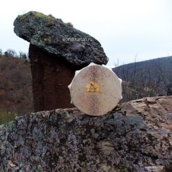 шаманский бубен каменный гриб